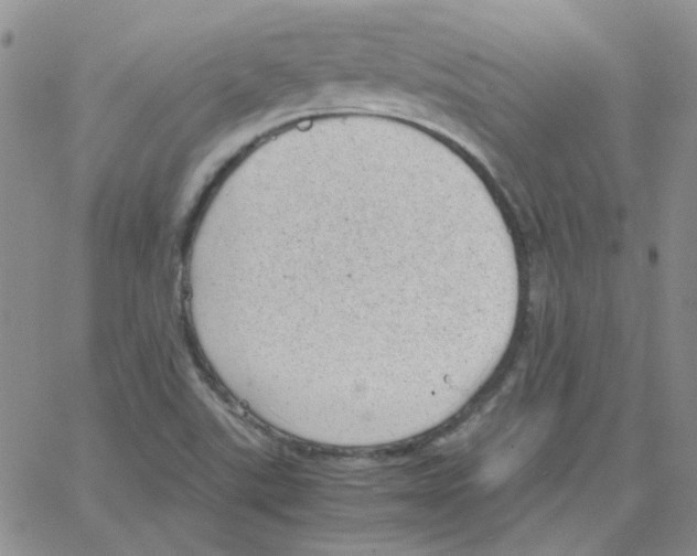 X0000064751507200603131330