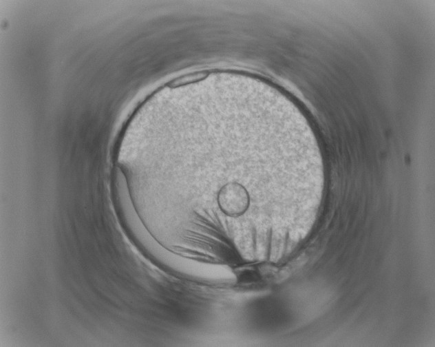 X0000064751508200603131330