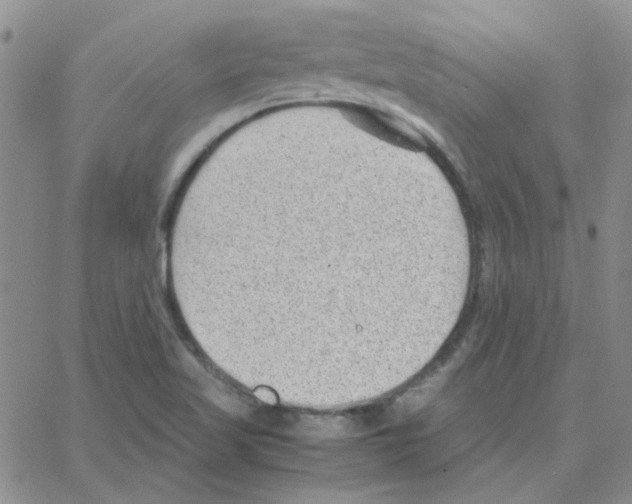 X0000064751509200603131330