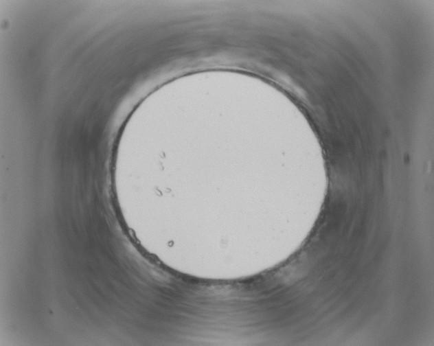 X0000064751512200603131330