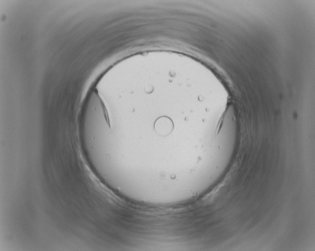 X0000064751514200603131330