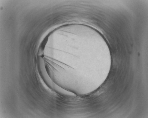 X0000064751515200603131330