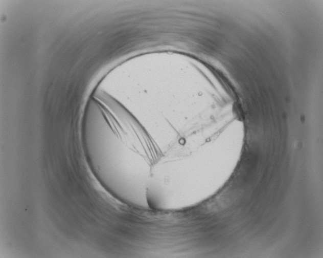 X0000064751516200603131330