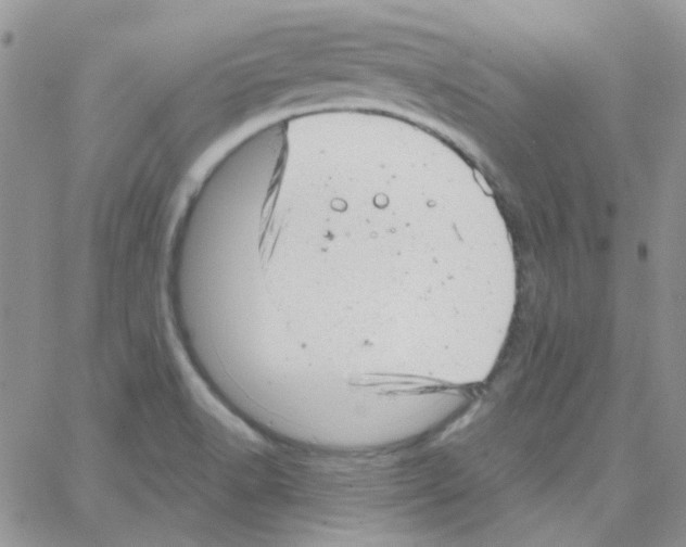 X0000064751518200603131331