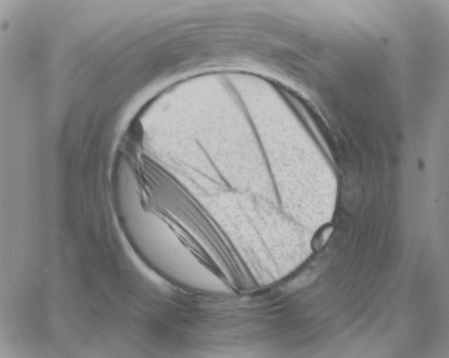 X0000064751519200603131331