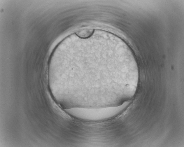 X0000064751522200603131331