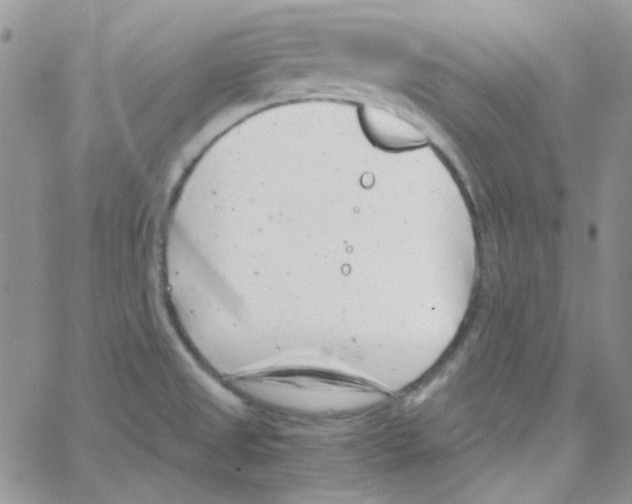 X0000064751525200603131331