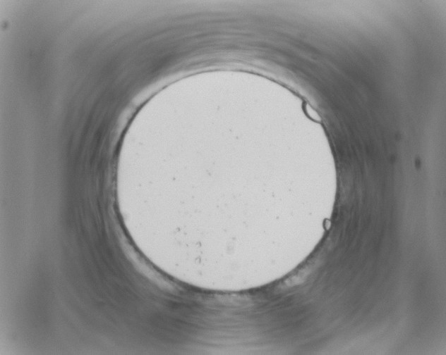 X0000064751526200603131331