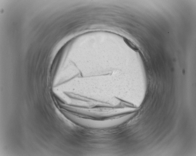 X0000064751527200603131331