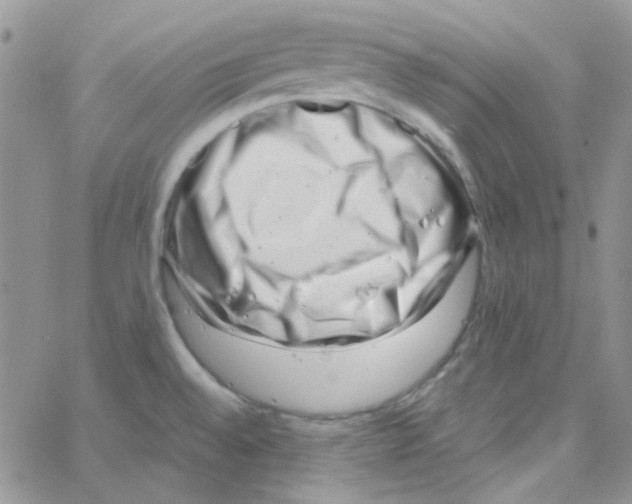 X0000064751528200603131331