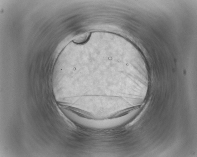 X0000064751529200603131331