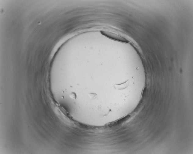 X0000064751530200603131331