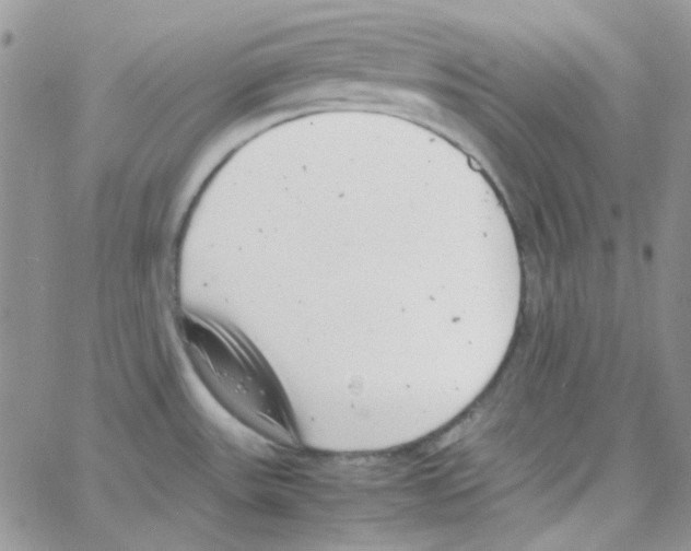 X0000064751531200603131331