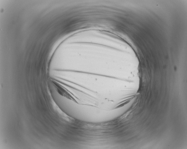 X0000064751532200603131331