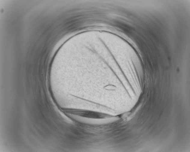 X0000064751533200603131331