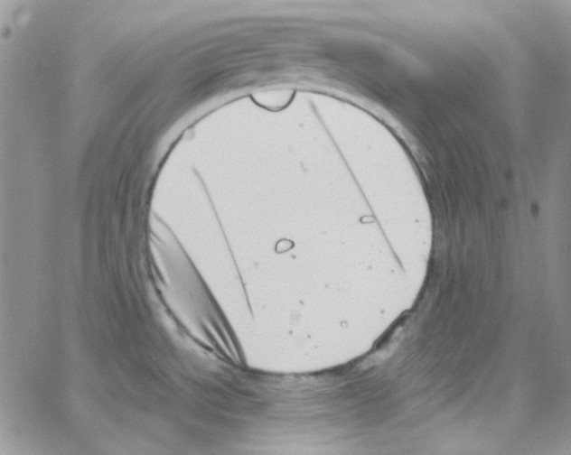 X0000064751534200603131331