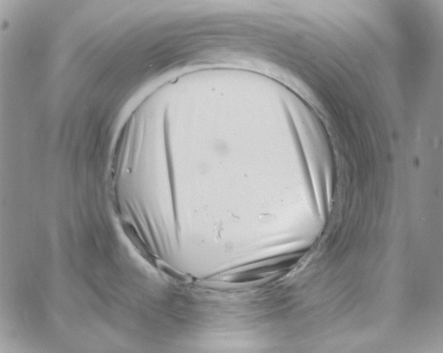 X0000064751536200603131331