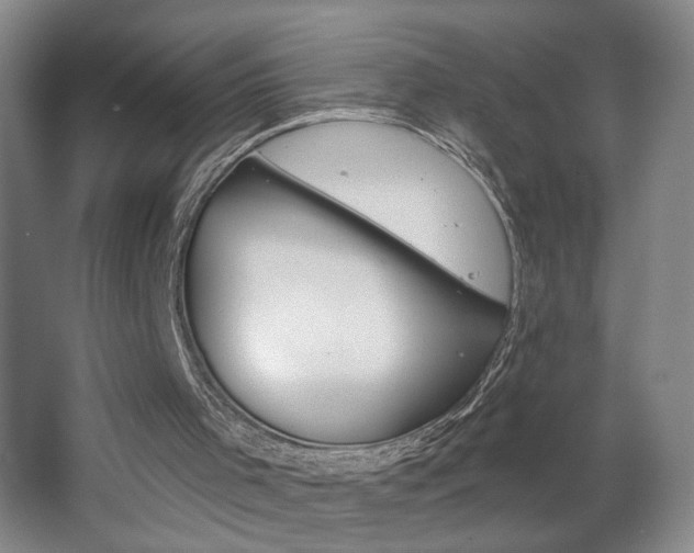 X0000064760001200602101040