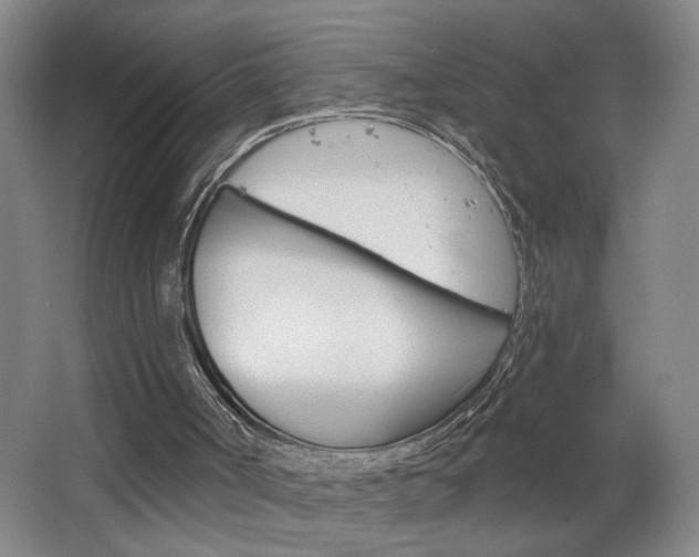 X0000064760002200602101040
