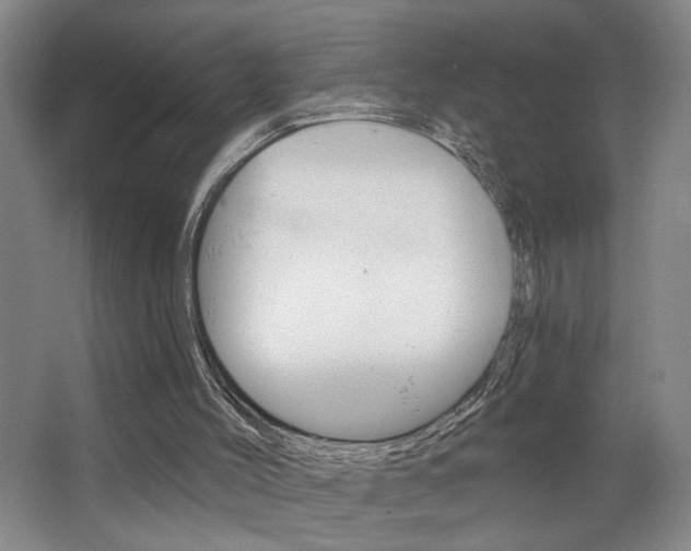 X0000064760004200602101040