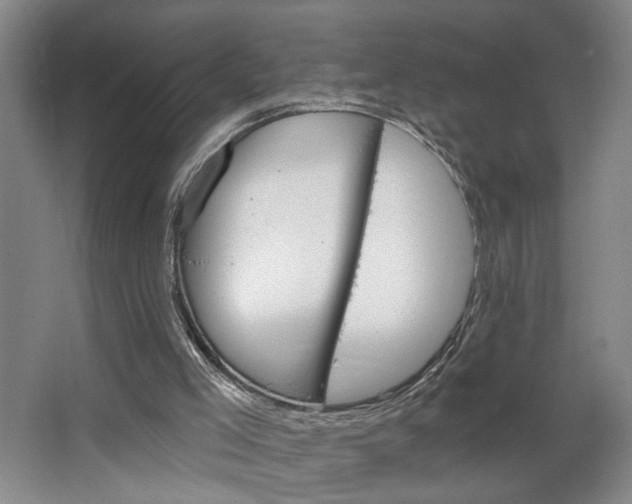 X0000064760005200602101040
