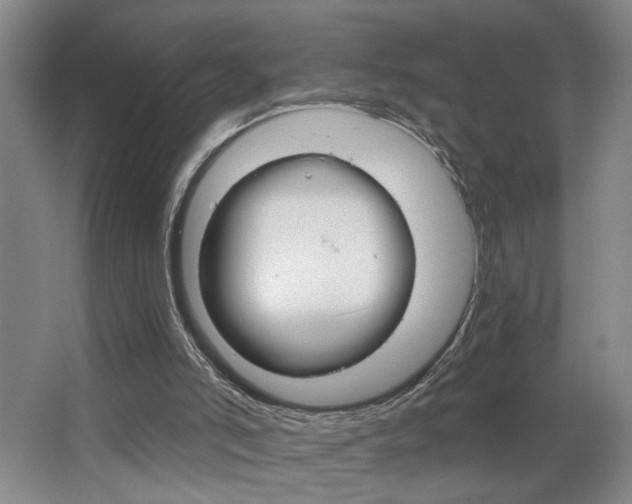 X0000064760006200602101039