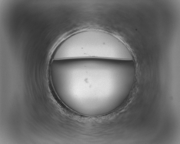 X0000064760007200602101039