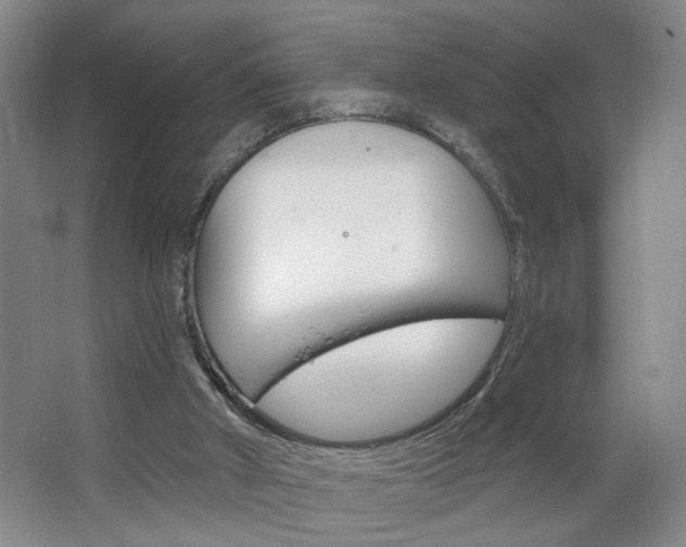 X0000064760010200602101039