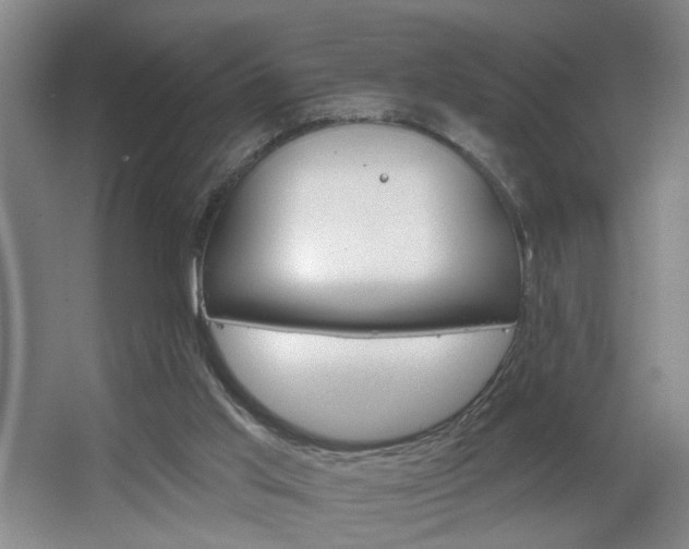 X0000064760013200602101039