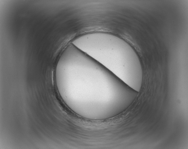 X0000064760014200602101039
