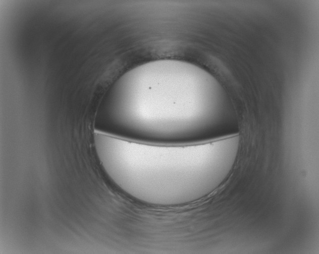 X0000064760025200602101039