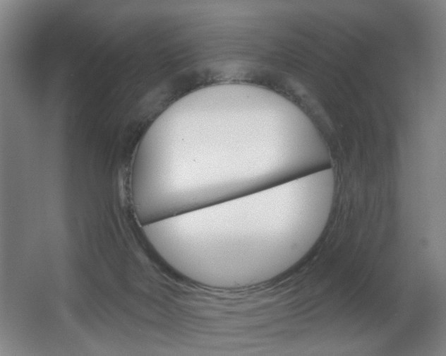 X0000064760026200602101039