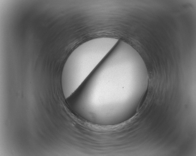 X0000064760047200602101039