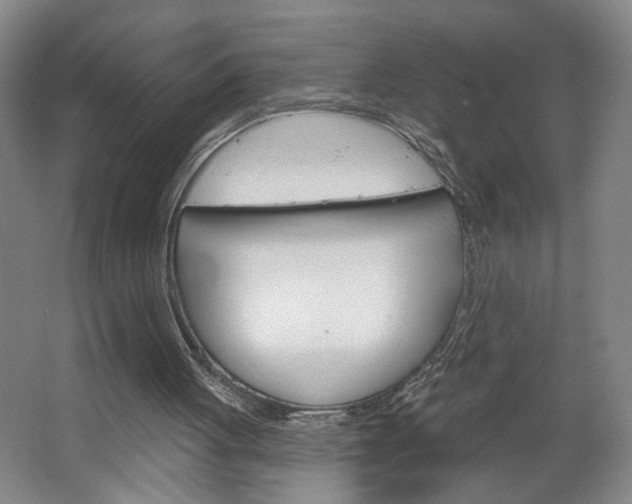 X0000064760051200602101038