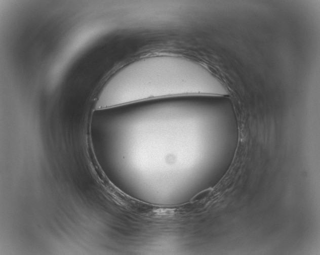 X0000064760052200602101038