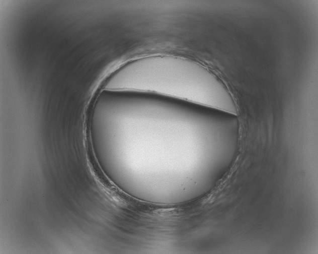 X0000064760054200602101038
