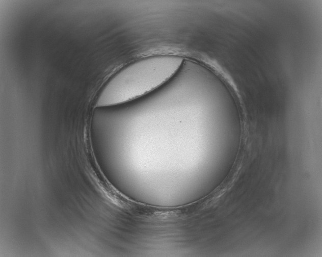 X0000064760057200602101038