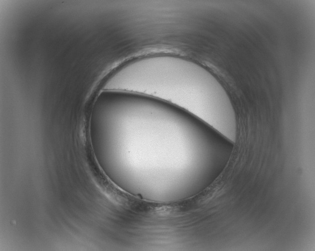 X0000064760064200602101038