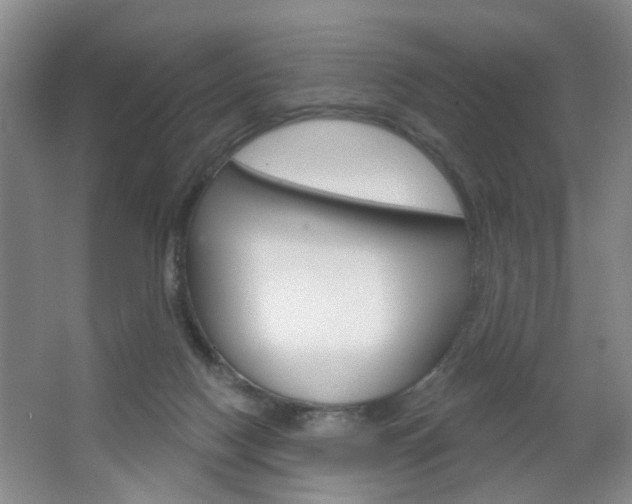 X0000064760074200602101038