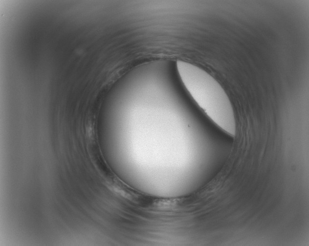X0000064760084200602101039