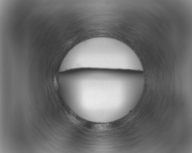 X0000064760089200602101039
