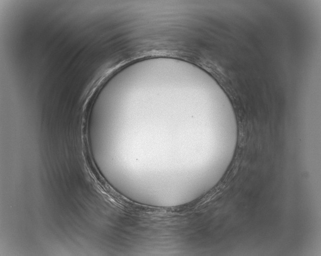 X0000064760098200602101038