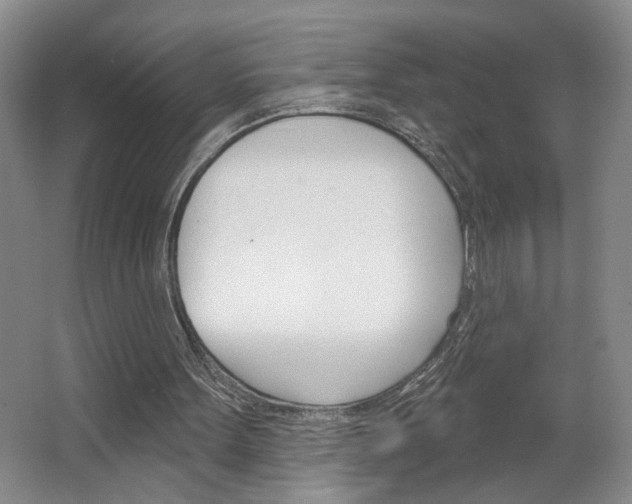 X0000064760099200602101038