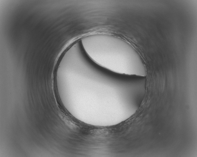 X0000064760100200602101038