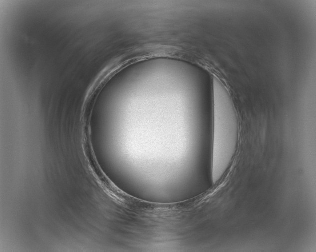 X0000064760101200602101038