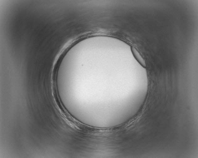 X0000064760102200602101038