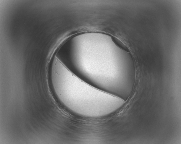 X0000064760103200602101038