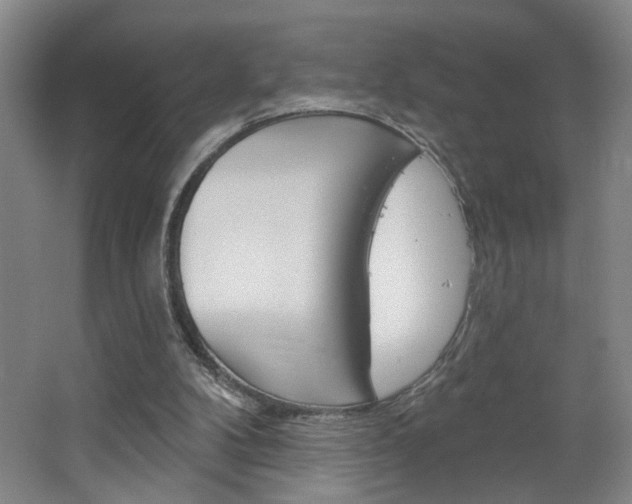 X0000064760104200602101038