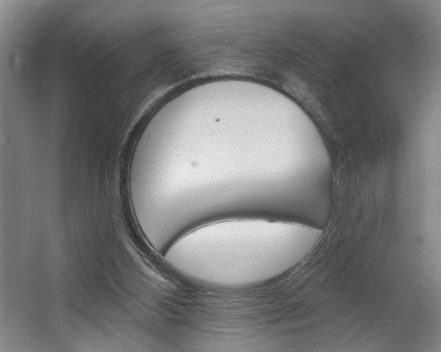 X0000064760108200602101038