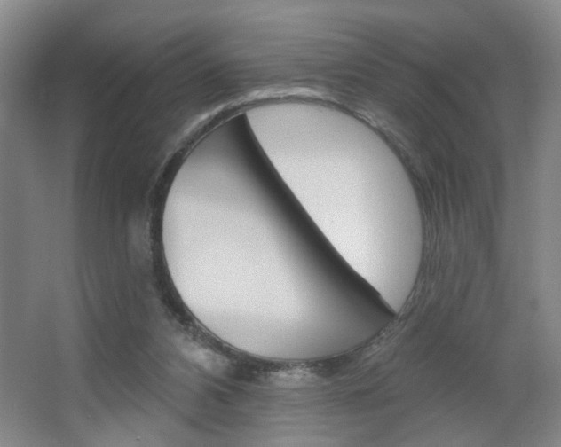 X0000064760112200602101038